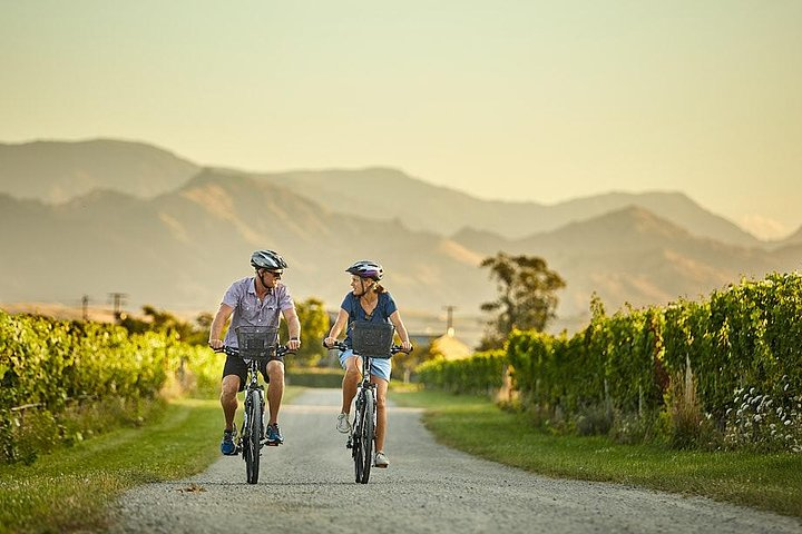 Private Biking Wine Tour (full day) in the Marlborough Region - Photo 1 of 7